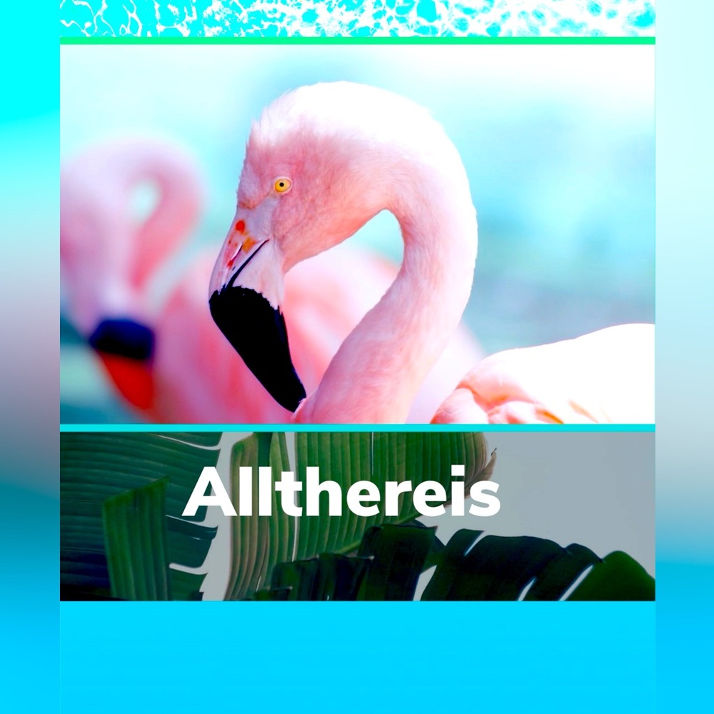 Colors in nature 🦩